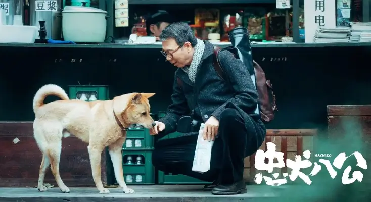 图解在日本能用豆瓣音乐吗